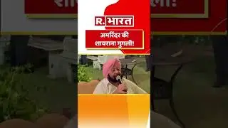 #PunjabElectionResult से पहले #CaptAmarinderSingh का शायराना अंदाज, 'कुछ भी हो सवालात न करना..'