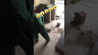 #shopclean#trendingshorts #duet #funny #shortvideo #10millionview@pleasantildar