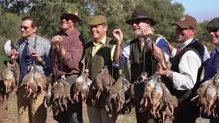 Spanish Driven Bird Hunt promo