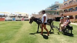 Donkey Rides at Kiani Beach Resort!