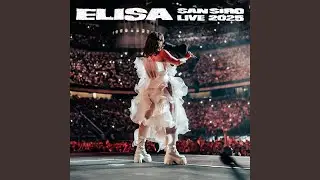 Seta (Live San Siro 2025)