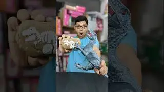 Remote Control Dinosaur Unboxing and Testing #rctoys