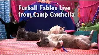 Furball Fables live from Catchella