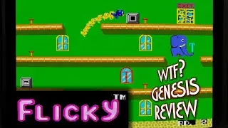Обзор Flicky Genesis