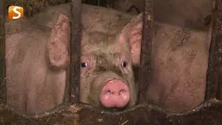 FARÁR ZRIADIL ÚTULOK PRE MUŽOV (Banský Studenec)