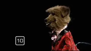 Celebrity Mastermind 2016: Hacker T. Dog