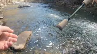 Trout fishing Dan River Virginia