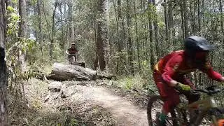 Mapleton MTB