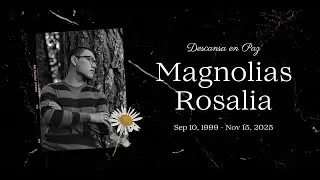 ESTA ES LA NUEVA CANCIÓN DE ROSALIA 😲 - MAGNOLIAS