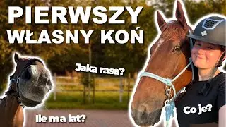 KUPIŁAM KONIA PO ROKU JAZDY KONNEJ?!