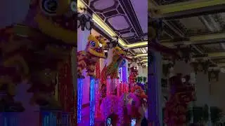 pov you&rsquo;re in hong kong for lunar new year 🐍🧧✨