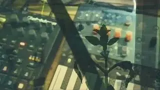 m0rj - Little Spring