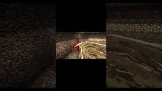 #minecraft #mobfight #mob #batl #fight #mod #warden #битва #мобы #битва