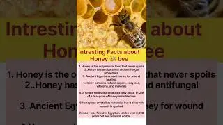 # Intresting Facts about Honey bee..# shorts# honey bee# shorts##