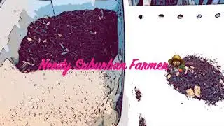 Vermicomposting Extra E5-Removing Finished Castings from Horizontal Migration