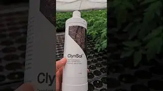 Cat este valabil dezinfectantul de sol ClynSol ?
