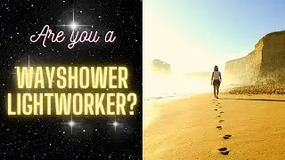 Вы &mdash; работник света, указывающий путь? ⭐ Знаки указателя пути
