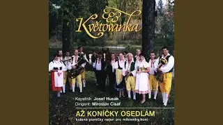 Páslo děvče koně