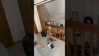 Что должны делать эти три клетки мозга?