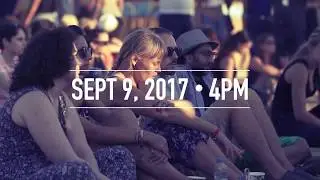 Wickerpark 2017 - A few days left!