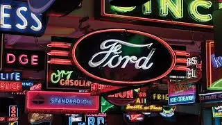 Neon Beauty from the Dingman Collection