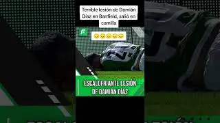 Terrible lesi&oacute;n de Dami&aacute;n D&iacute;az en Banfield, sali&oacute; en camillaEn