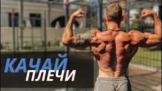 Как накачать ПЛЕЧИ на турниках! Упражнения от ЛЁГКИХ к СЛОЖНЫМ.