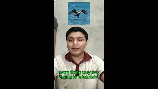 Integrative proyect English B3: Story time: My vacation in Akumal 