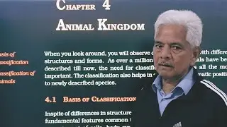 Animal Kingdom 