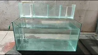 3ft tank silicone free, overhead sump with overflow cut off 