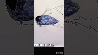 Polar Bear #edits #shorts #animals #heitorschmitzmera #designs #polarbear #reallife