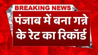 Sugarcane Price: गन्ने के दाम में पंजाब ने बनाया राष्ट्रीय रिकॉर्ड, इतनी बढ़ गई कीमत