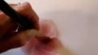Painting Cottage Roses 1st video clip