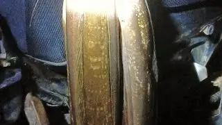 BARU KALI INI......Persaingan yg panas di saat mancing di sarangnya lembat,AUTO JP TARUSS