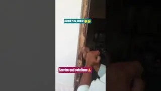 |termits at home|home pest control||termite manegment service#short viral#pest control tips 🙏🫢🤔🙏