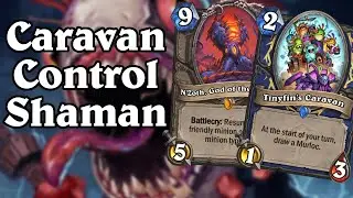 Tinyfin's Caravan N'Zoth Shaman | Wailing Caverns | Hearthstone