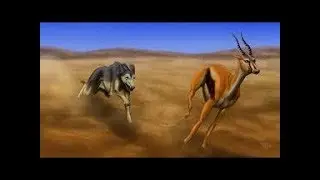 Watch the Most Amazing Dog Race in Dubai/msm rusthy