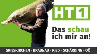HT1 ab 19.12.2025 | Weihnachtsgrüße | Christbaum | Adventkonzert | Martin Winkler | Baumkronenweg