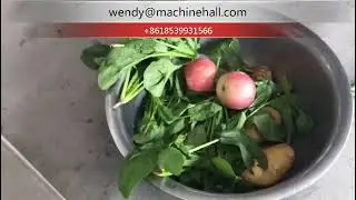Avocado Washing Machine for Tomato and Leaf Vegetables