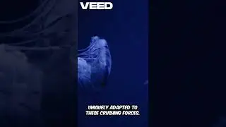Unveiling Ocean Depths  Pressure Secrets!  #natureknowsbest #facts #shortvideo #shots