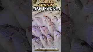 Alanya, Turkey Fish Market  #alanya  #realestate