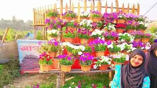 Very nice excellent nature video .4k full HD video.