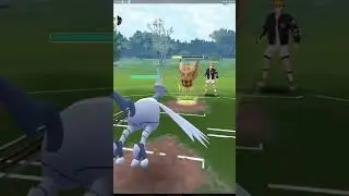 The best Flying Cup team