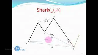 دورة نماذج الهارمونيك الدرس السابع | نموذج القرش