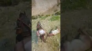 Ultimate Hunting & Survival Skills vid238
