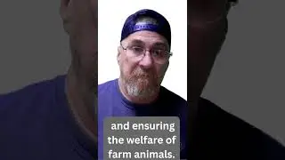 Weird&nbsp;Animal&nbsp;Laws that are still on the books