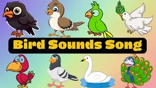 🎵 