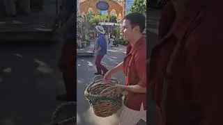 Disney's CA Coco Show pt 2 #disney #Coco #Yorona #Miguel