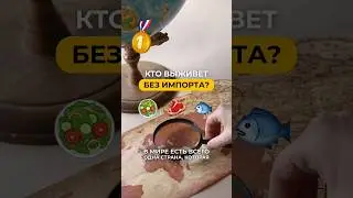 Кто выживет без импорта? 📉