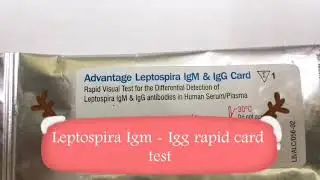 Leptospira Igg-Igm rapid test rappid j mitra card